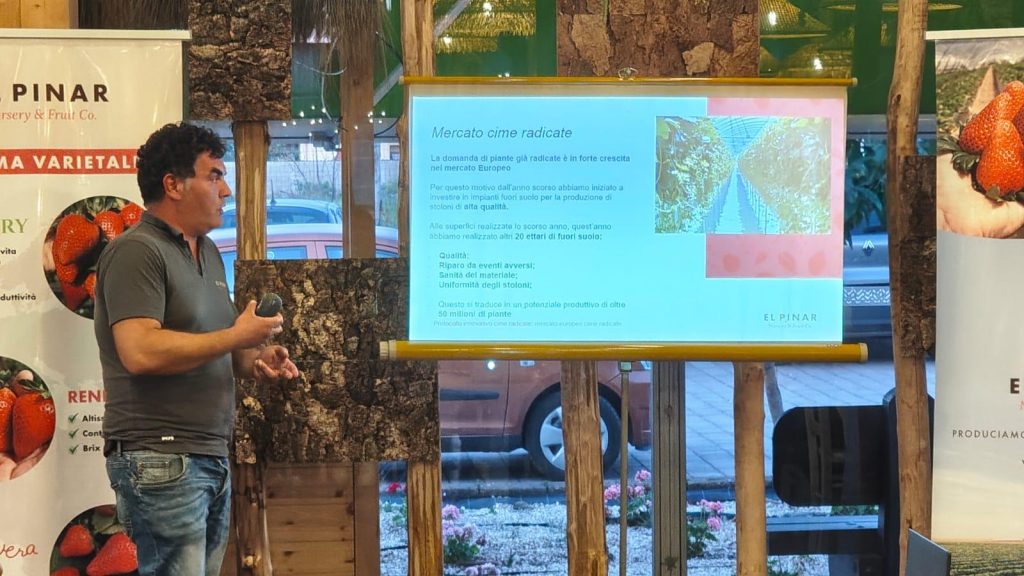 Meeting técnico "Los nuevos desafíos del cultivo de la fresa: estrategia innovadora de El Pinar".
