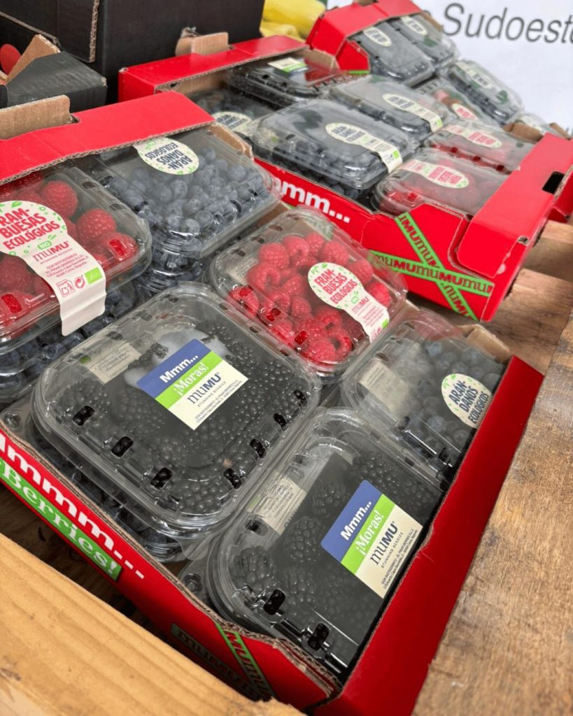 Muestra de fruta muMU Berries ecológica en FACECO