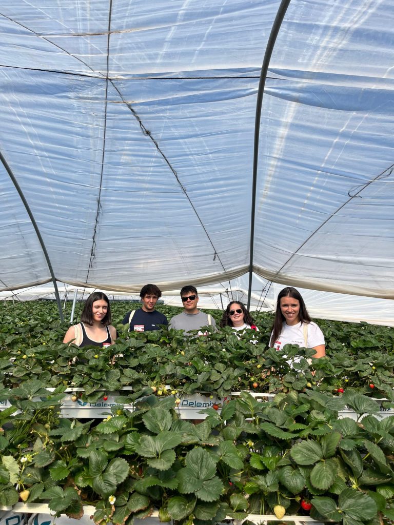 Asistentes en los campos de fresa de El Pinar en el I Día de la Familia y los Amigos