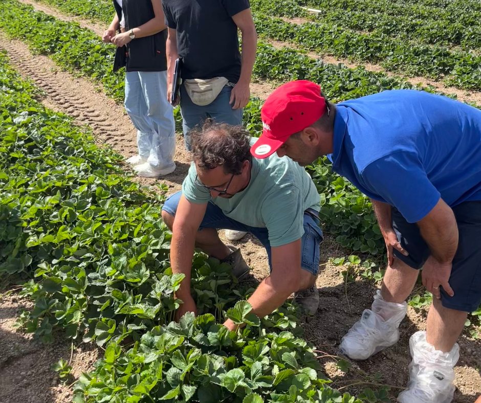 Clientes griegos visitando los viveros de El Pinar a septiembre de 2025