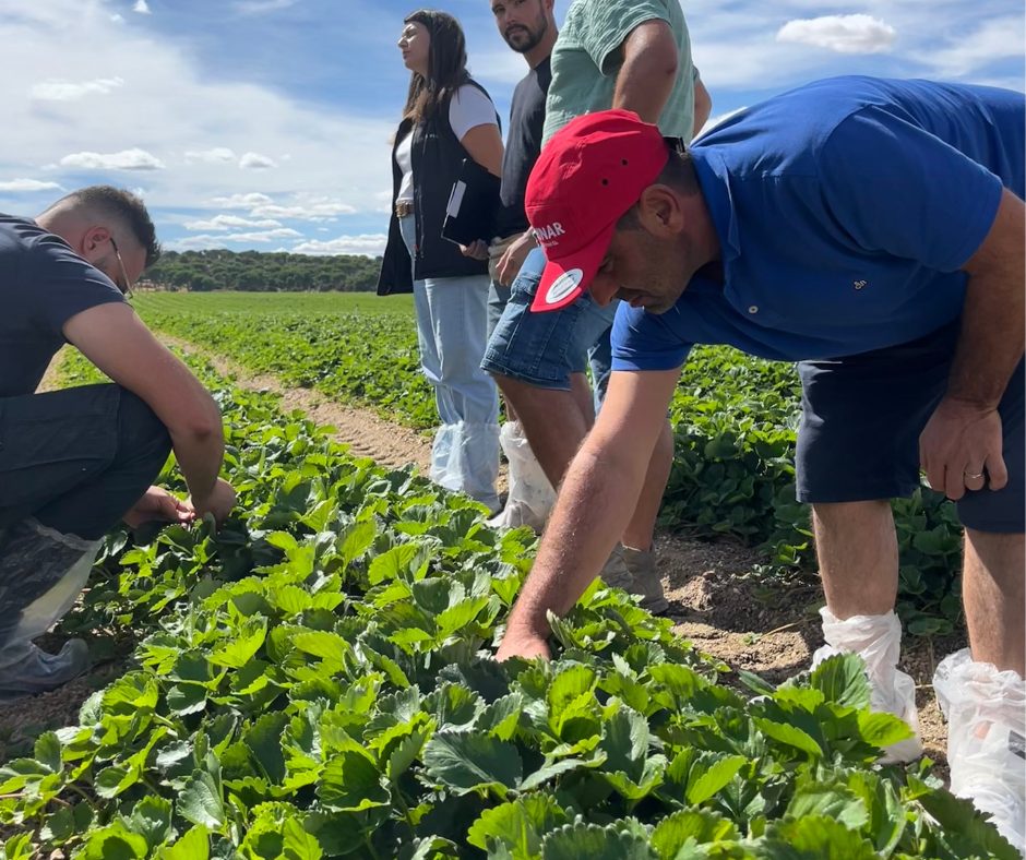 Clientes griegos visitando los viveros de El Pinar a septiembre de 2025