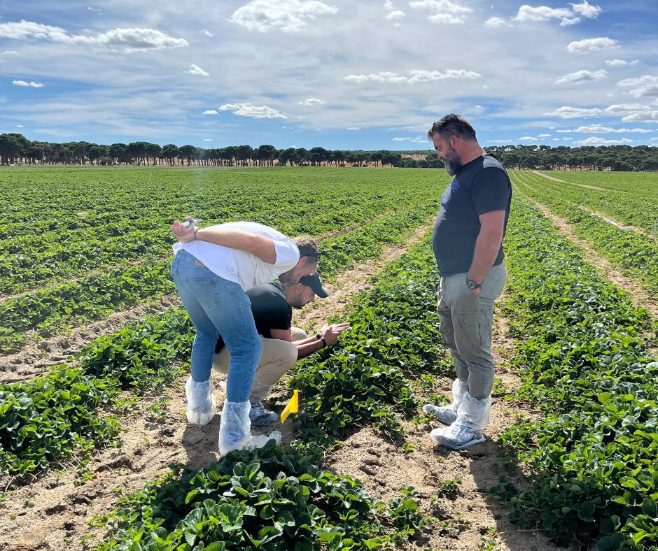 Clientes griegos visitando los viveros de El Pinar a septiembre de 2025