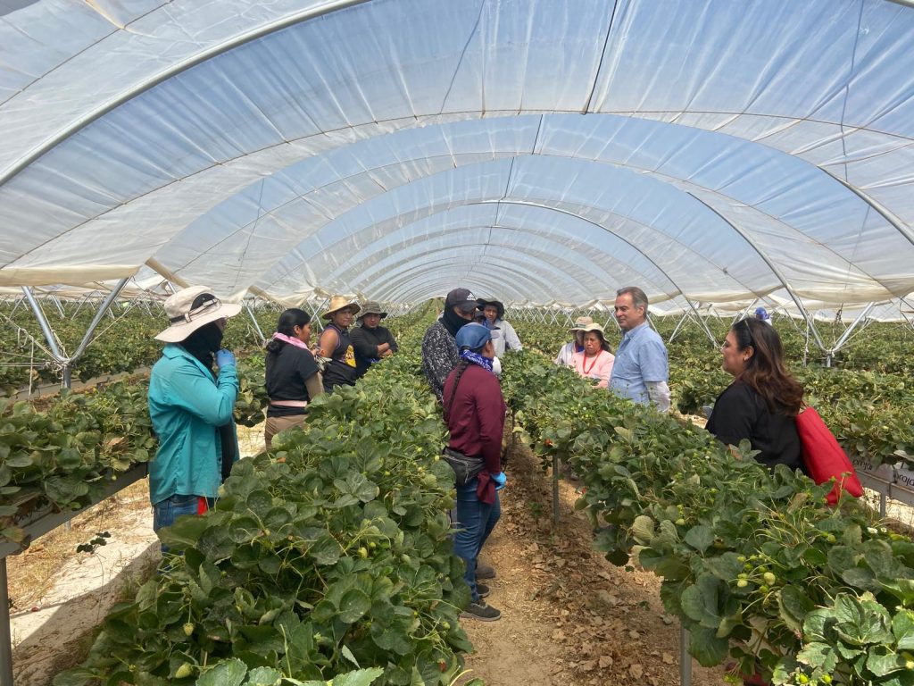 Embajador de Guatemala, junto a su primer ministro y primera secretaria y cónsul en su visita a las instalaciones de El Pinar en Segovia