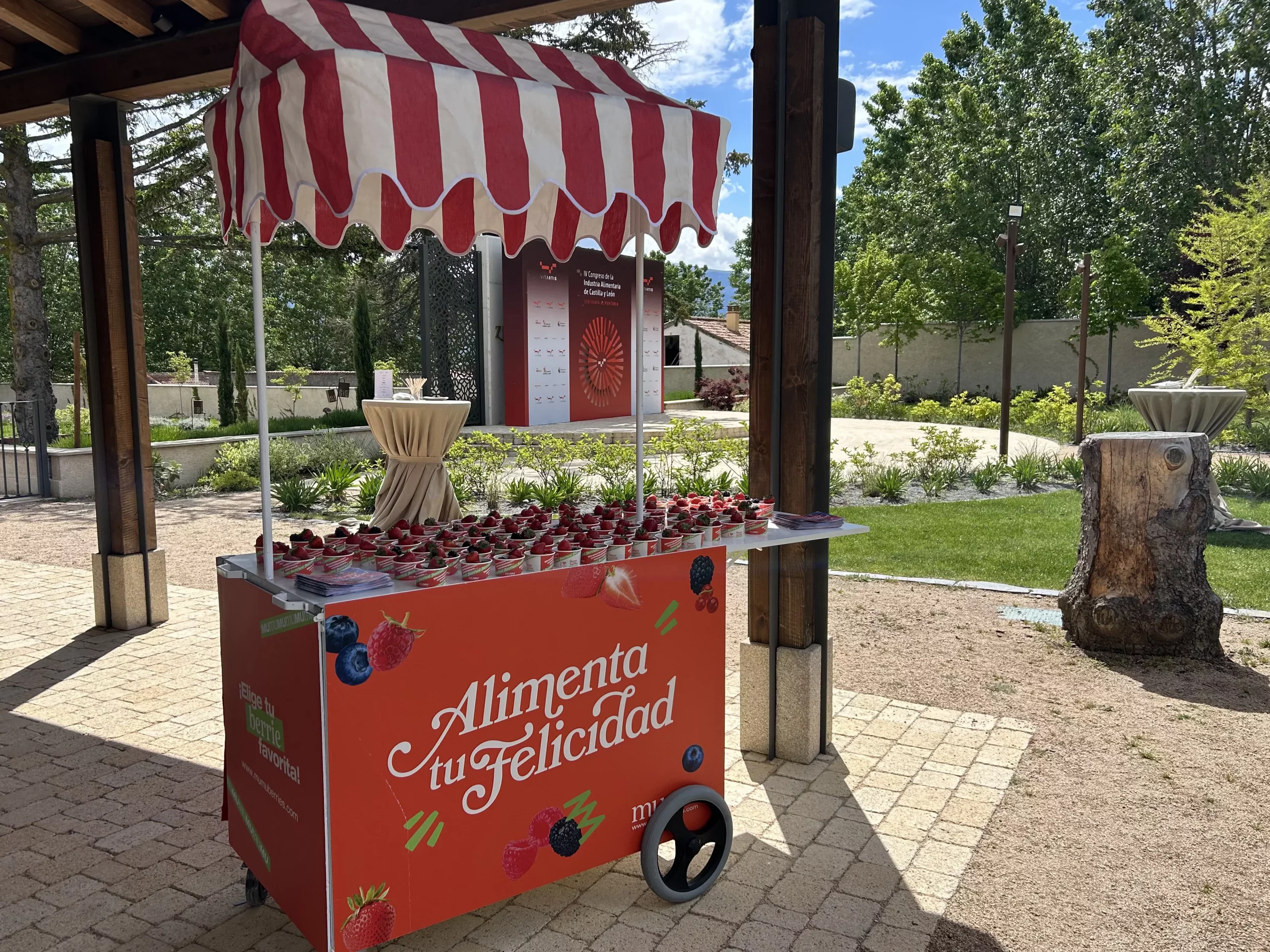 Córner de El Pinar - MUMU Berries dispuesto con vasitos para eventos con frutos rojos para el aperitivo de media mañana del IV Congreso de la Industria Alimentaria de Vitartis. 